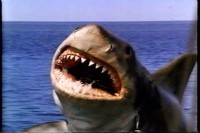 JAWS – 1975